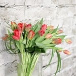 Product_Tulip Waterfall_IMG-8683.jpg