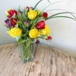 Product_Tulip Carnival_IMG-2543.jpg