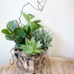 Product_Industrial Succulents_IMG-3063.jpg