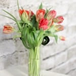 Product_Tulip Waterfall_IMG-8685.jpg