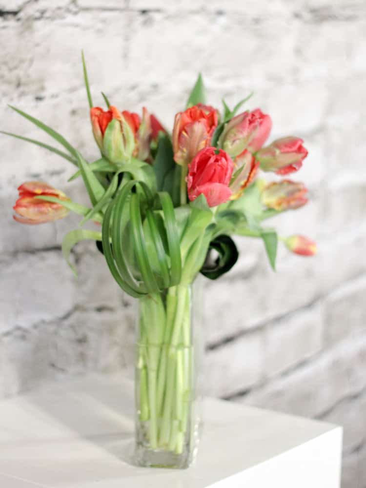 Product_Tulip Waterfall_IMG-8685.jpg