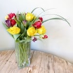 Product_Tulip Carnival_IMG-2546.jpg