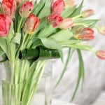 Product_Tulip Waterfall_IMG-8684.jpg