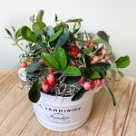 Product_Winterberry_IMG-0594.jpg